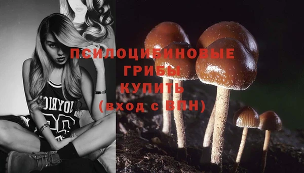 бутират Пролетарск